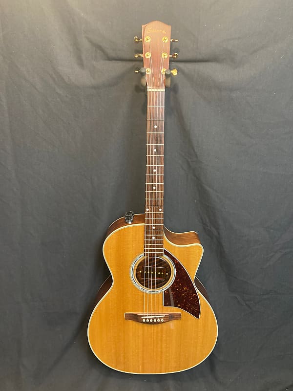 Eastman HE222CE Guitar w/custom electric mods Reverb