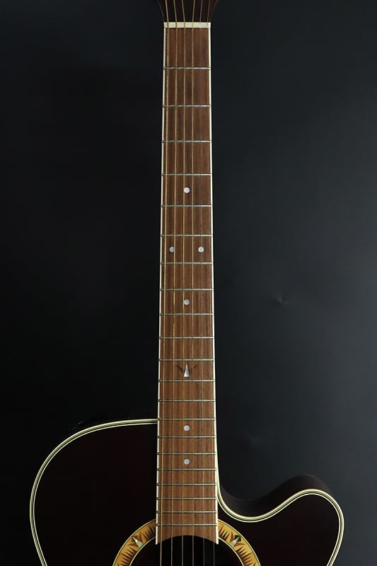 Takamine NPT-510 SBS - Shipping Included* | Reverb