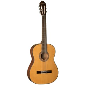 Washburn C40 Classical Nylon Guitar Natural