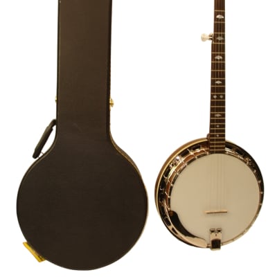 Recording King RK-R25 RK-R25-BR Madison Resonator 5-String Banjo w/ Case for sale