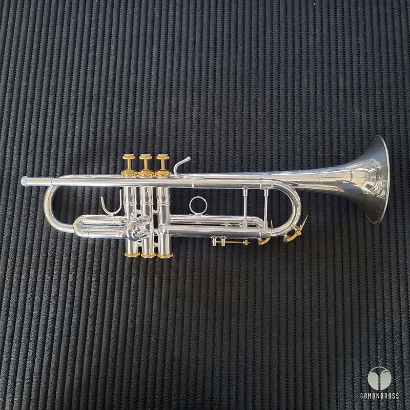 Bach Stradivarius SOLOIST trumpet, case with cover, Bach Reverb