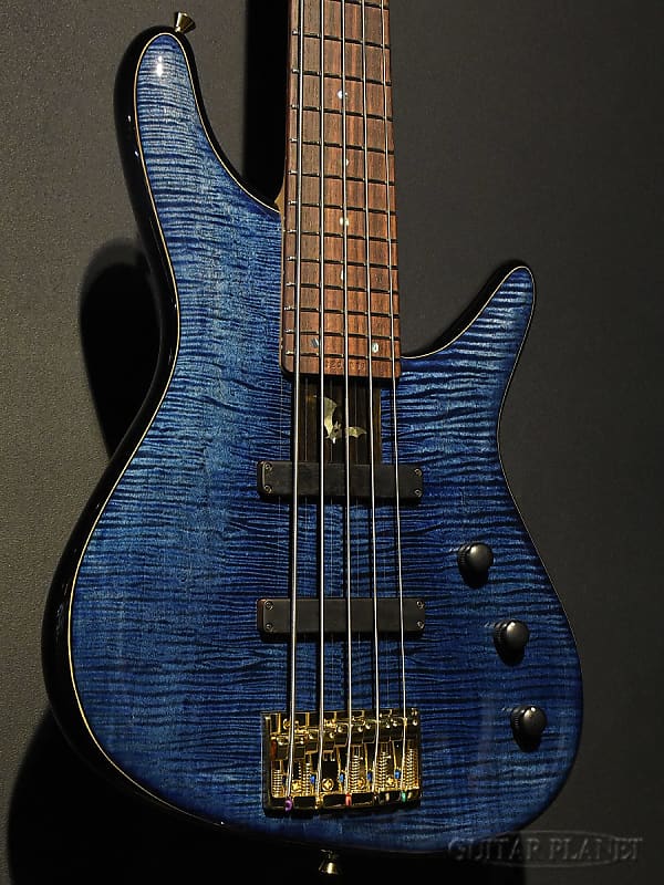 Sugi NB5IR EM/A-MAHO 2023 - Royal Blue/Black Back | Reverb