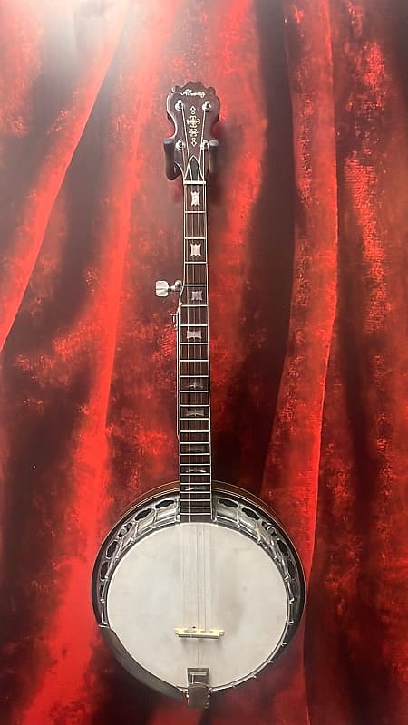 Alvarez Bowtie Banjo (Nashville, Tennessee) | Reverb