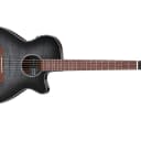 Ibanez AEG70TCH Acoustic Electric Guitar, Trans Charcoal