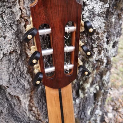 Heikki Rousu Classical guitar 2020    no 385 image 7