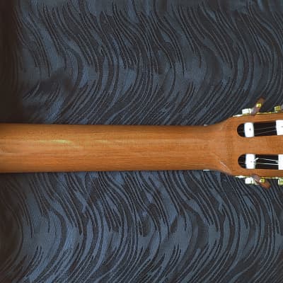2021 Darren Hippner Torres Model 640mm Scale Maple Classical Guitar image 10