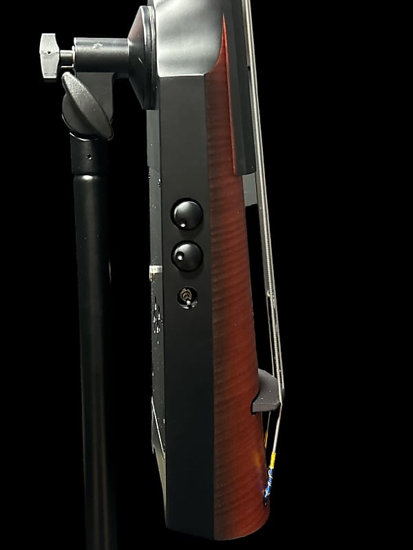 NS Design NXT4 Double Bass | Reverb
