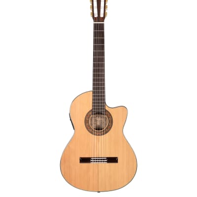 Alvarez Yairi CY75CE - Classical/Electric Guitar in Natural Gloss Hardshell Case Included image 2