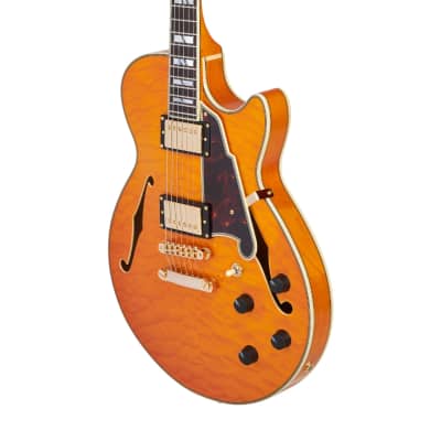 D Angelico Excel SS XT Reverb