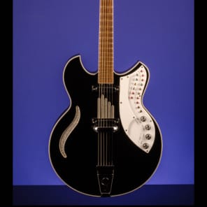 Godwin Guitar Organ (16/4) 1976 Black image 1