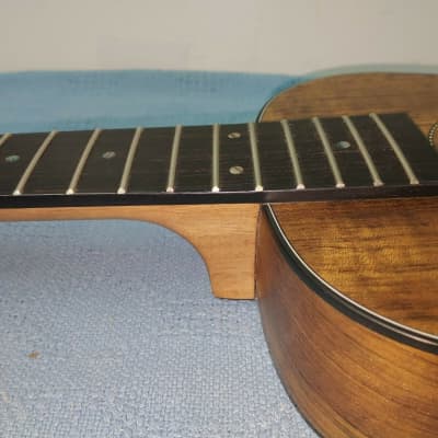 Hadean Acoustic Electric Left-Handed Bass Ukulele UKB-23L Body Project/Repair image 8