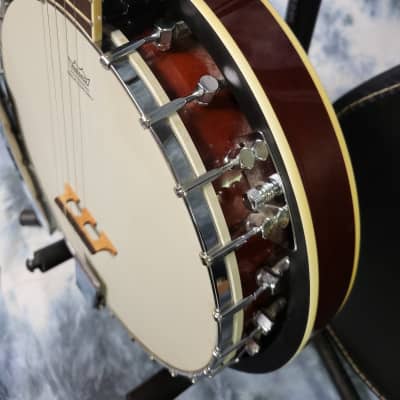 2013 Davison 5 String Banjo New Strings Pro Setup Original Soft Shell Case image 4