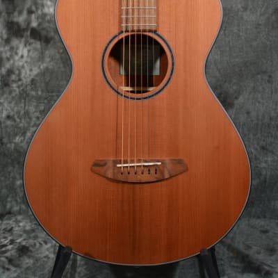 Breedlove Discovery S Concertina Red Cedar - African Mahogany w/FREE Same Day Shipping image 1