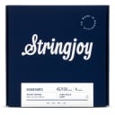 Stringjoy Signatures Light Gauge (45-100) 4 String Nickel Wound Bass Guitar Strings