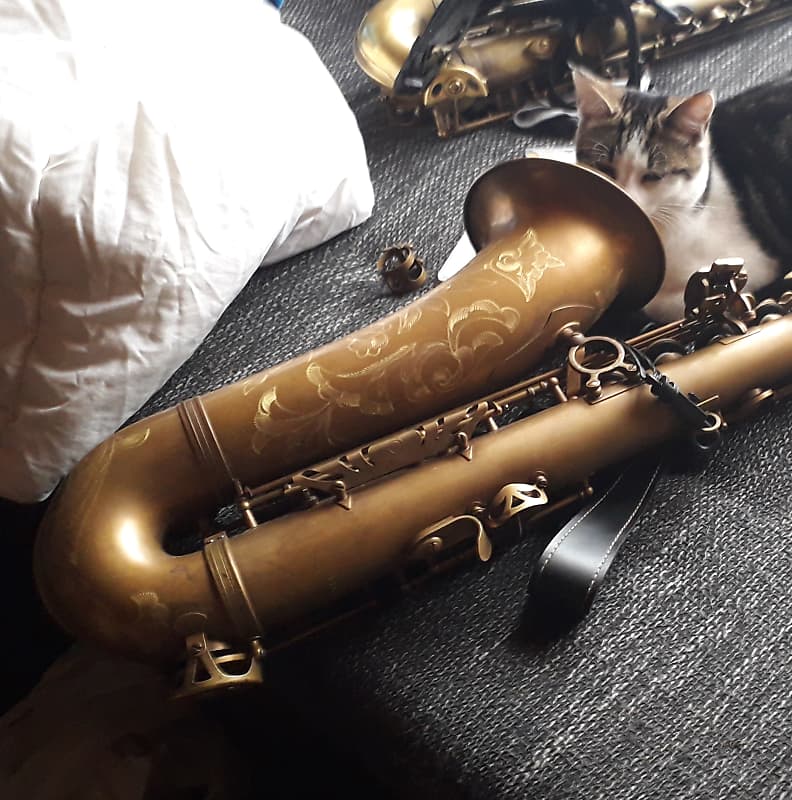 Bauhaus Walstein M2 Pro Earth Series tenor sax Reverb