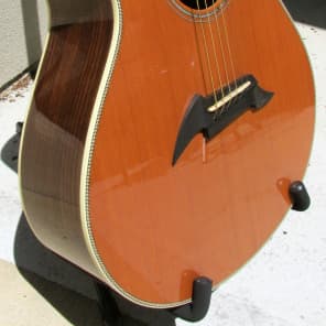 Breedlove American Series C25/CRe H Western Red Cedar Acoustic Electric Guitar L.R. Baggs Rosewood image 4