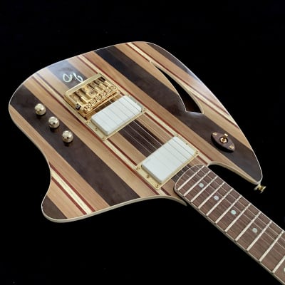 JD Guitars 2023 Neptune-6 image 11