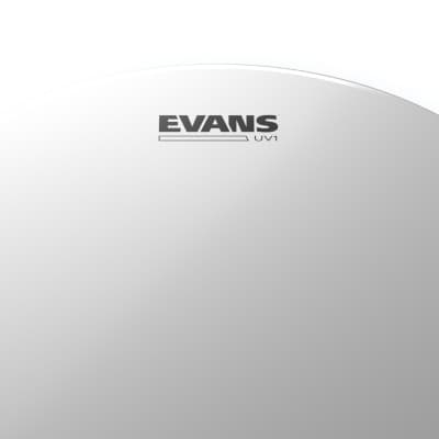 Evans UV1 Coated Drum Head (14 Inch) image 2