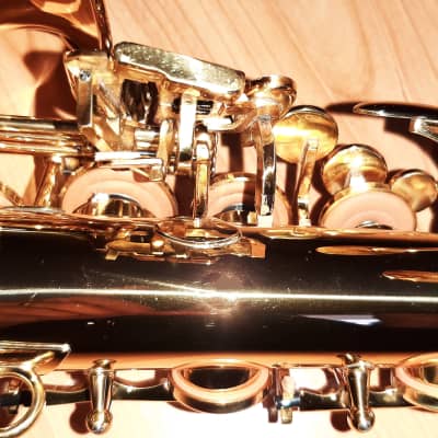 Carlton Lacquered Alto Saxophone W/Case