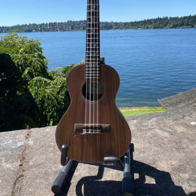 KALA KA-ASAC-T6 6 string Ukulele | Reverb