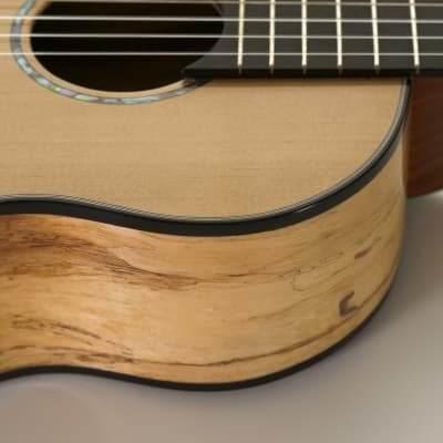 Romero Creations RC-P6-SMG Parlor Guitar Spruce and Spalted Mango "LANAT" Tuned E to E image 3