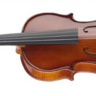 Stagg VN-1/2 E 1/2-Size Violin with Solid Spruce Top & Ebony Fingerboard with Standard Soft Case - Natural image 5
