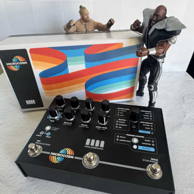 Hologram Electronics Microcosm | Reverb