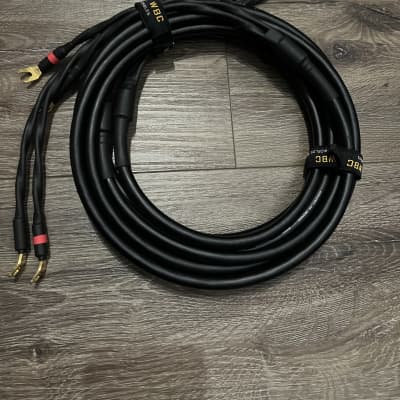 Canare 4S11 Star-Quad Speaker Cable Pair with Eminence Gold Spade