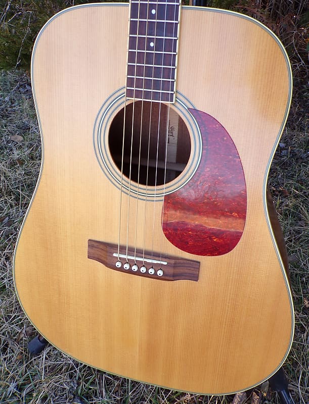 Cort Earth 200 Acoustic Guitar