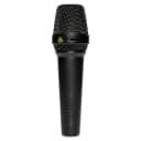 LEWITT MTP 550 DM Handheld Dynamic Vocal Microphone