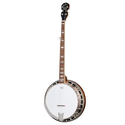 Epiphone Mastertone Classic Banjo - Natural image 2