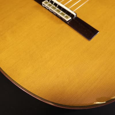 Alhambra Premier Pro Madagascar Javier Mengual Classical Guitar w/Hard Cse image 8