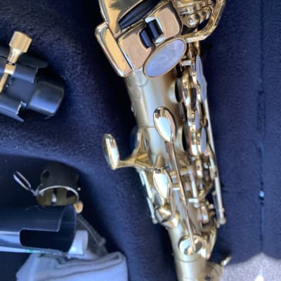 Kessler Custom Matte alto saxophone with case great shape image 6