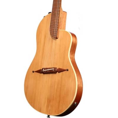 Rick Turner Classic Series Renaissance RS6 Cedar / Mahogany #5935 image 7
