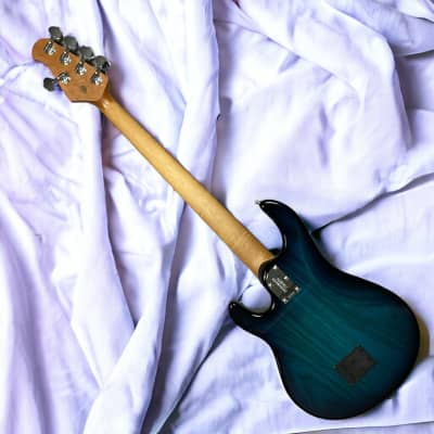 Ernie Ball Music Man StingRay 5 HH | Reverb