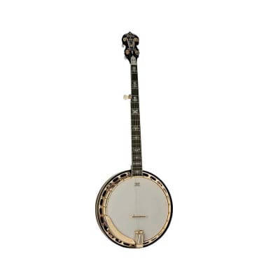 Washburn Americana Series B17K 5 String Banjo with Remo Top, Flame Maple Back and Sides, 22 Frets, Maple (Engraved Heel & Back of Headstock) Neck, Glo image 2