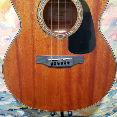 Takamine G-Series GLN11E NEX Acoustic/Electric Guitar Natural Satin image 8