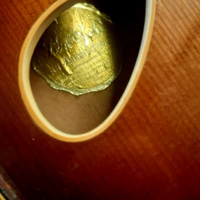 C1960 Herbert Todt PERLGOLD Violin Bass. Solid woods Archtop image 8