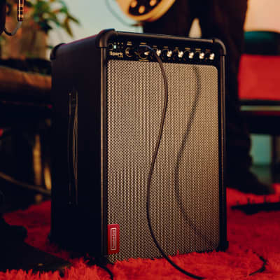 Positive Grid Spark LIVE - 4-Channel Smart Amp & PA System image 4