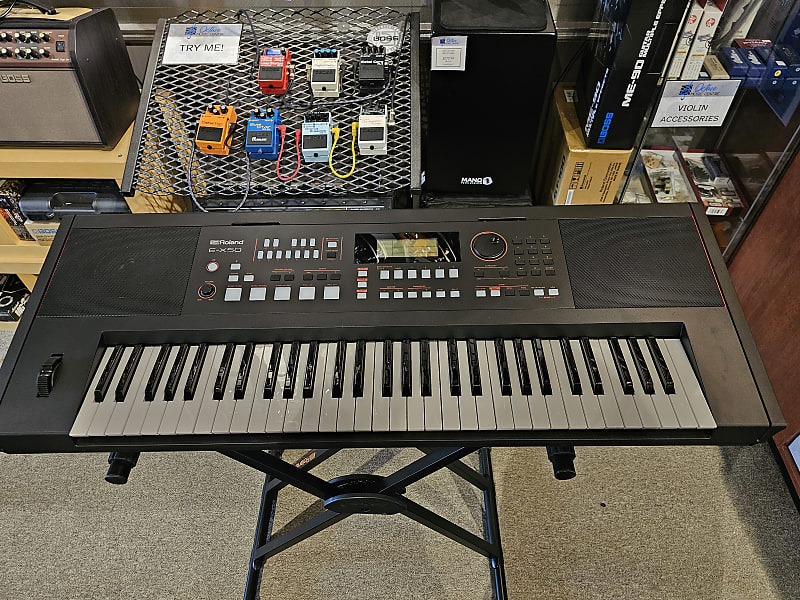 Roland E-X50 61-Key Arranger Keyboard | Reverb
