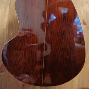 Giannini AWKS-12 12 String Acoustic guitar w/ OHSC image 8