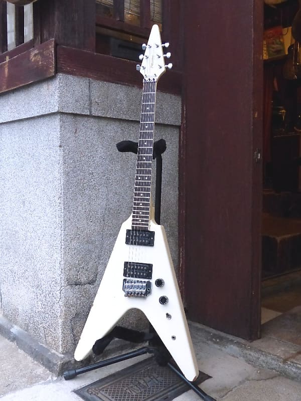 FERNANDES BSV－60