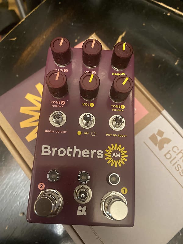Chase Bliss Audio Brothers AM