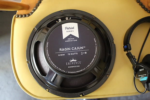 Ragin cajun speaker 10 cheap