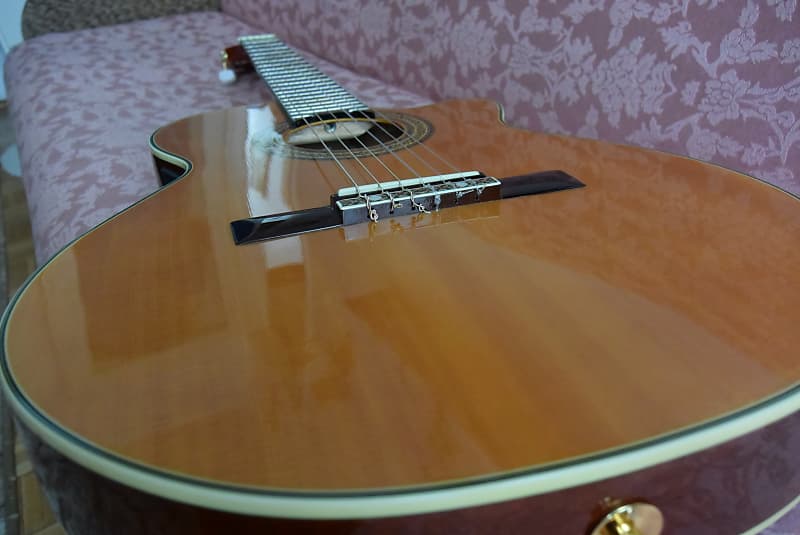 Takamine eg store 562 c