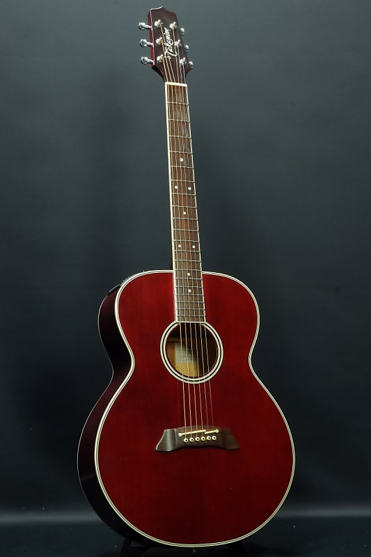 Takamine Pt100 Sp (06/01)