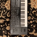 Roland System-8 49-Key Plug-Out Synthesizer