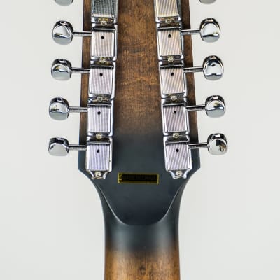 Gold Tone I-F12 Gold Tone F-Style 12-String Mando-Guitar w/ Foam Case image 10