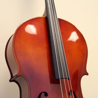 Premium Used Cello 4/4 Size, Amati - CE-44-137 image 3