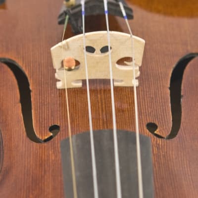 Schertler STAT-V PRO Electrostatic Transducer for Violin/Viola (Includes Yellow Single Preamp) image 4